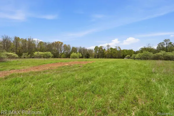 0 Hannah Jane DR, Handy Township, MI 48836