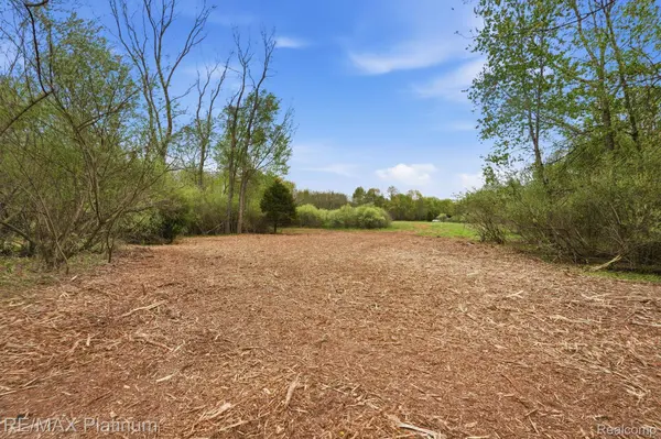 0 Hannah Jane DR, Handy Township, MI 48836
