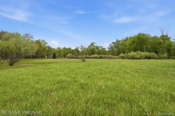 0 Hannah Jane DR, Handy Township, MI 48836