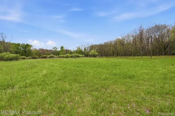 0 Hannah Jane DR, Handy Township, MI 48836
