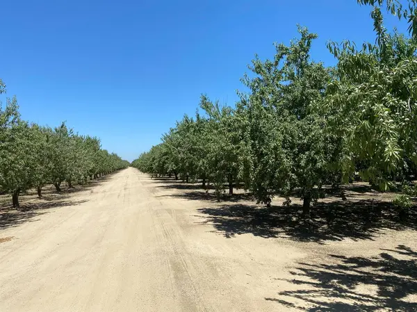 16221 Carrolton, Escalon, CA 95320