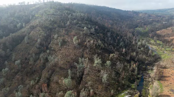 0 Six Bit. Gulch Rd, Jamestown, CA 95327