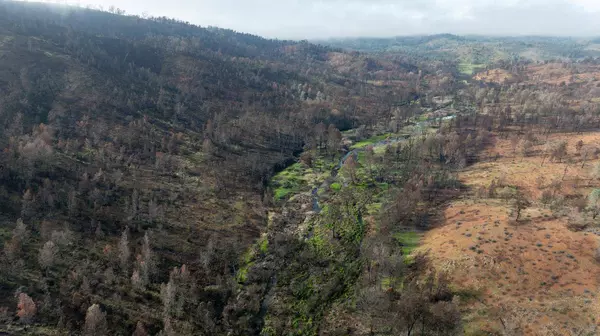 0 Six Bit. Gulch Rd, Jamestown, CA 95327