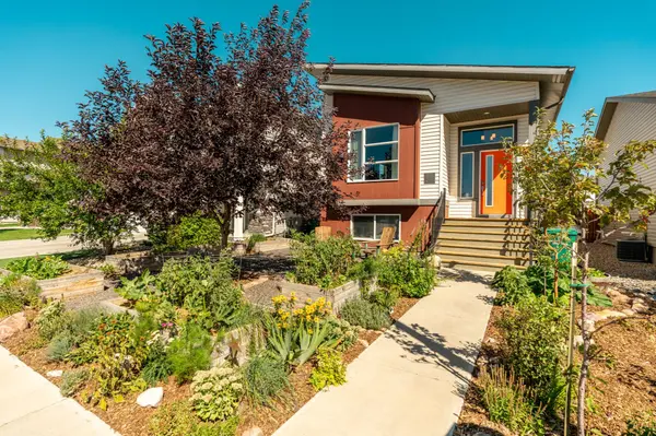 004-336 Crocus terrace (4)