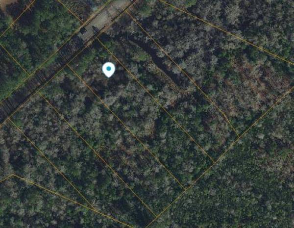 1227 Rainbow Dr., Loris, SC 29569