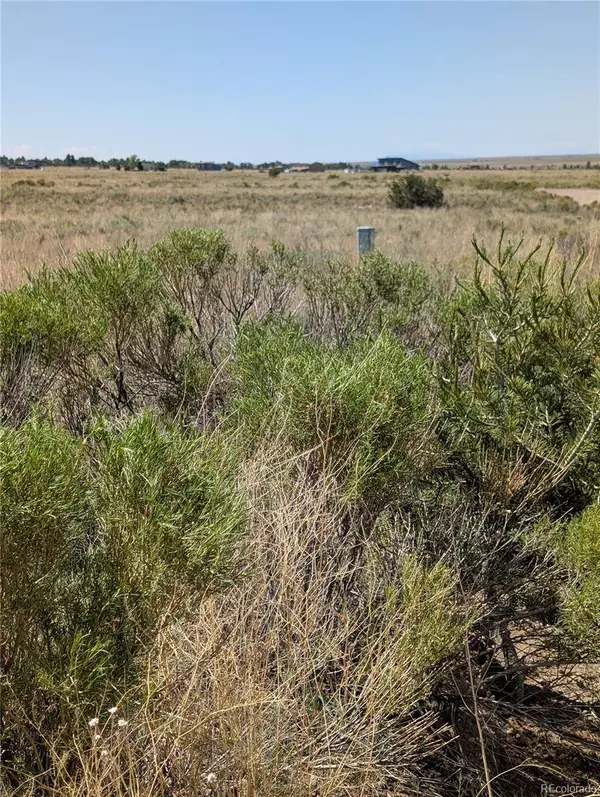 2619 N Carefree WAY, Crestone, CO 81131