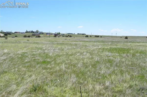 Parcel 6 County Road 2, Rush, CO 80833