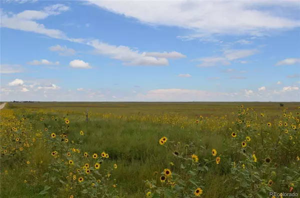 Parcel 6 County Rd 2, Rush, CO 80833