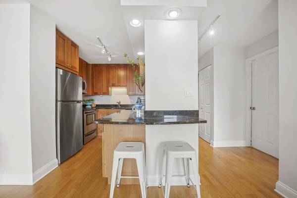 450 W Briar PL #6G, Chicago, IL 60657