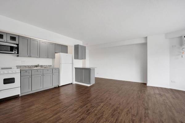 3100 N Lake Shore DR #413, Chicago, IL 60657