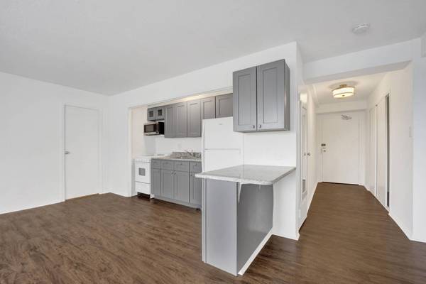 3100 N Lake Shore DR #413, Chicago, IL 60657