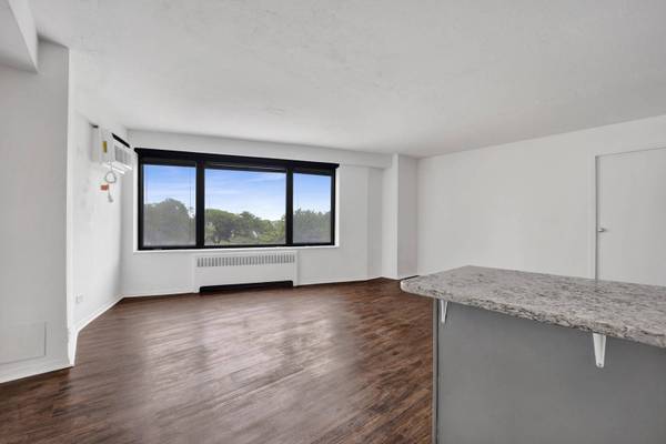 3100 N Lake Shore DR #413, Chicago, IL 60657