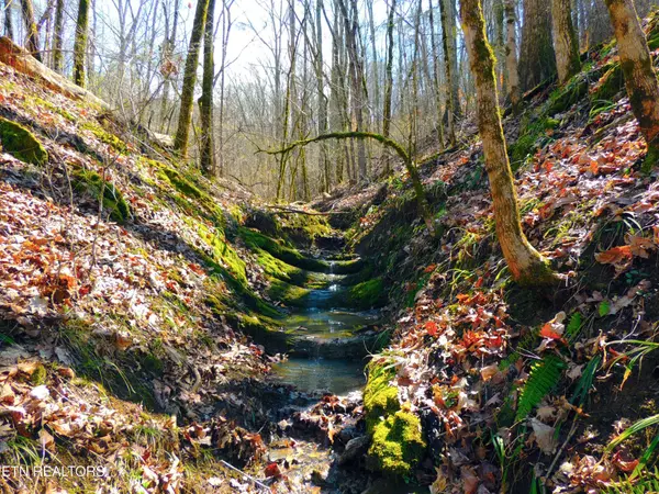 0 Thorn Grove Pike, Strawberry Plains, TN 37871