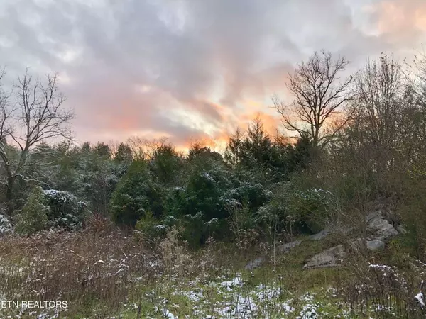 0 Thorn Grove Pike, Strawberry Plains, TN 37871