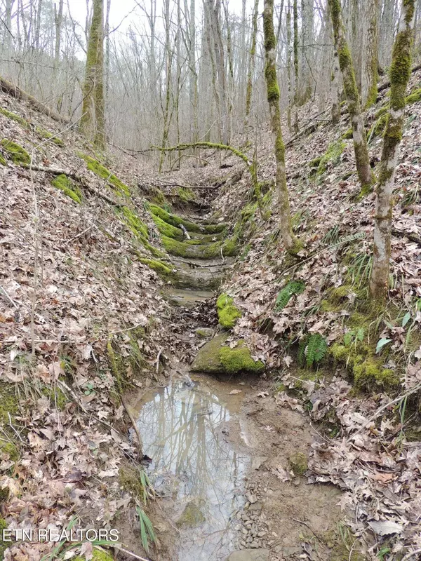 0 Thorn Grove Pike, Strawberry Plains, TN 37871