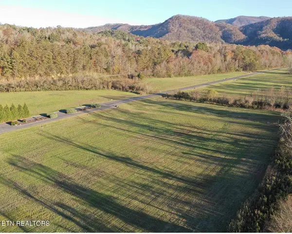 11 River Rapids Way, Del Rio, TN 37727