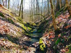 0 Thorngrove Pike, Strawberry Plains, TN 37871