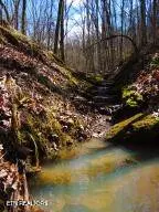 0 Thorngrove Pike, Strawberry Plains, TN 37871