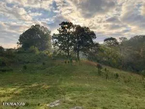 0 Thorngrove Pike, Strawberry Plains, TN 37871