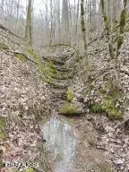 0 Thorngrove Pike, Strawberry Plains, TN 37871