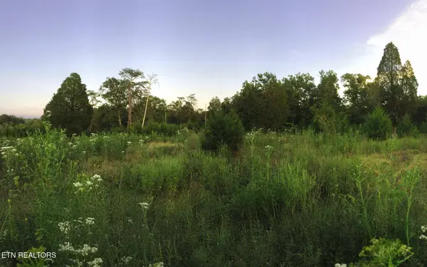 10528 Thorngrove Pike, Strawberry Plains, TN 37871