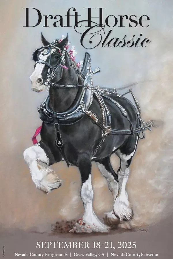 2025 Nevada County Draft Horse Classic & Harvest Fair in Grass Valley CA