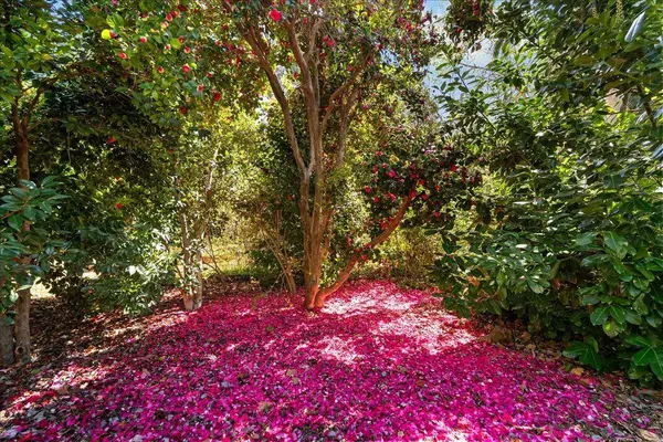 10041 Greenwood RD, Grass Valley, CA 95945