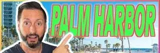 Palm Harbor, Florida: The Smart Alternative to Overcrowded Beach Towns,Tru Living Group LLC