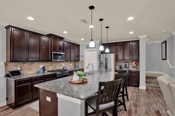 19272 ROSEATE DR, Lutz, FL 33558