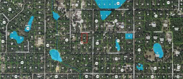 12098 W Fig Tree LN, Crystal River, FL 34428