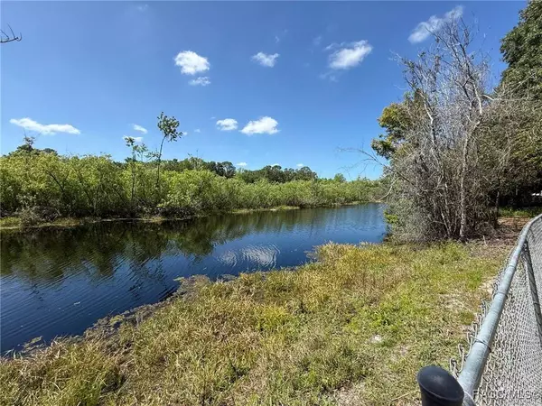 5500 S Withlapopka DR, Floral City, FL 34436