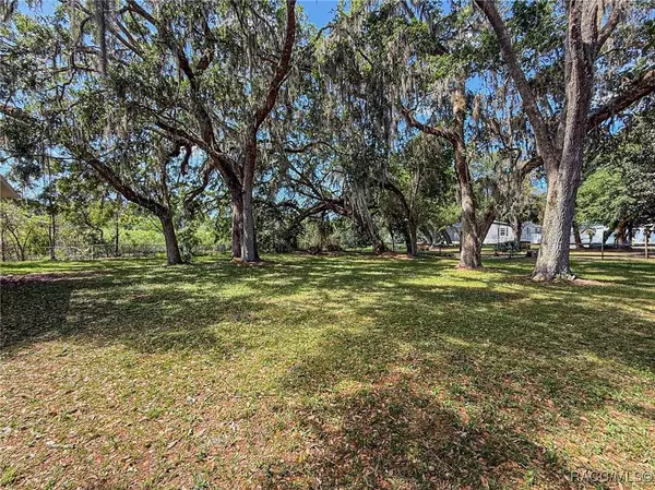 5500 S Withlapopka DR, Floral City, FL 34436