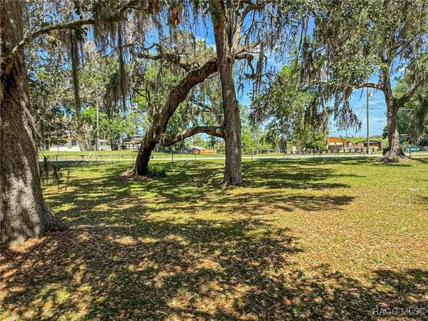 5500 S Withlapopka DR, Floral City, FL 34436