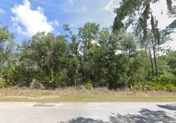 12427 W Deodar ST, Crystal River, FL 34428