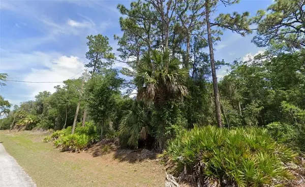 12427 W Deodar ST, Crystal River, FL 34428