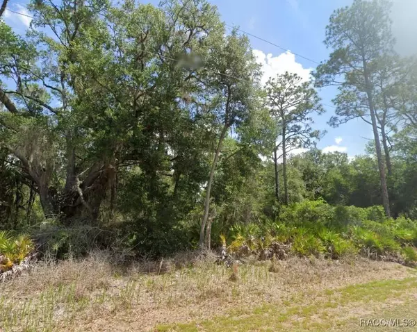 12427 W Deodar ST, Crystal River, FL 34428