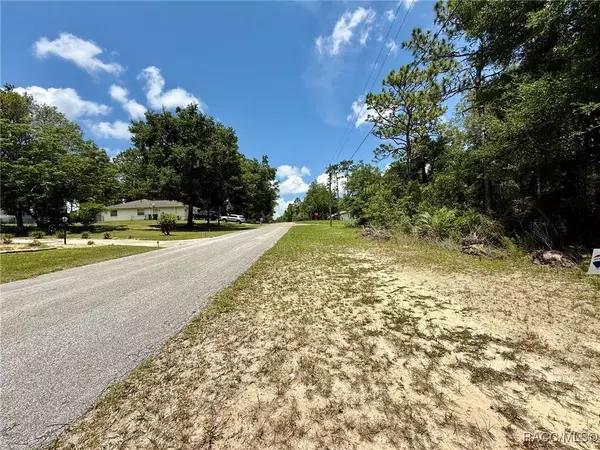 8445 N Foresome WAY, Citrus Springs, FL 34434