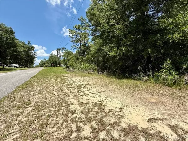 8445 N Foresome WAY, Citrus Springs, FL 34434