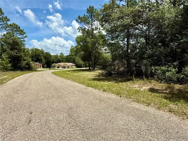 2628 W Scilla DR, Dunnellon, FL 34434