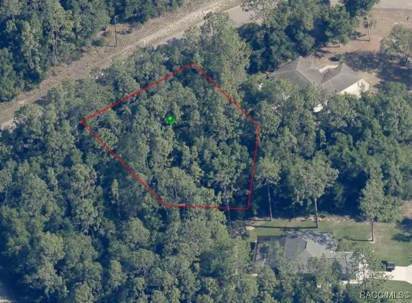 2628 W Scilla DR, Dunnellon, FL 34434