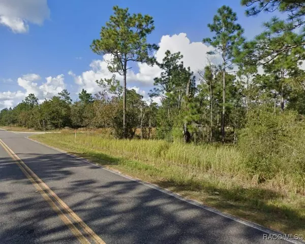 202 Melrose Landings BLVD, Hawthorne, FL 32640