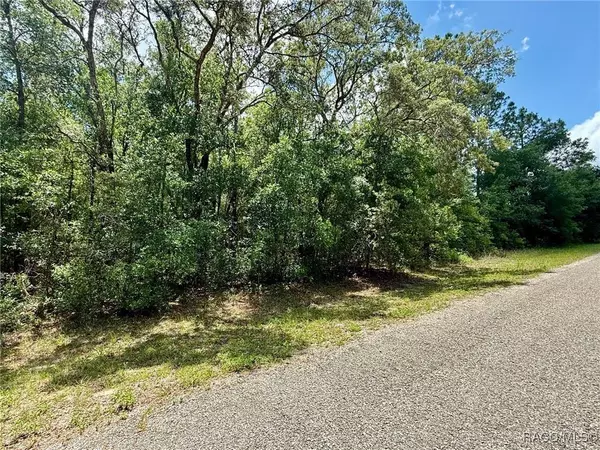 2628 W Scilla DR, Dunnellon, FL 34434