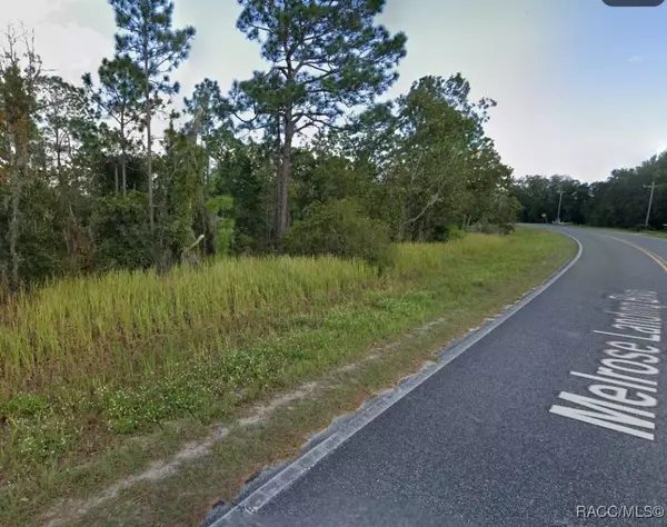 202 Melrose Landings BLVD, Hawthorne, FL 32640