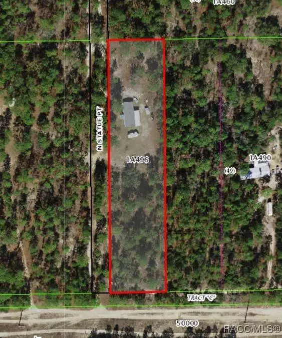 10095 N Statue PT, Dunnellon, FL 34433