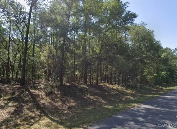 9088 N Irondale RD, Dunnellon, FL 34434