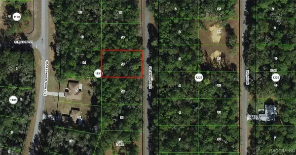9088 N Irondale RD, Dunnellon, FL 34434