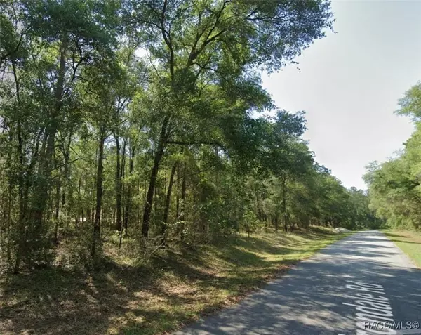 9088 N Irondale RD, Dunnellon, FL 34434