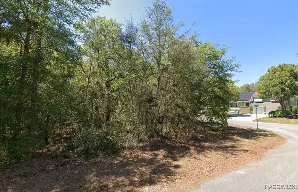 2 Shumard CT S, Homosassa, FL 34446