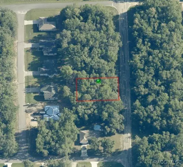 10578 N Allwood TER, Citrus Springs, FL 34434