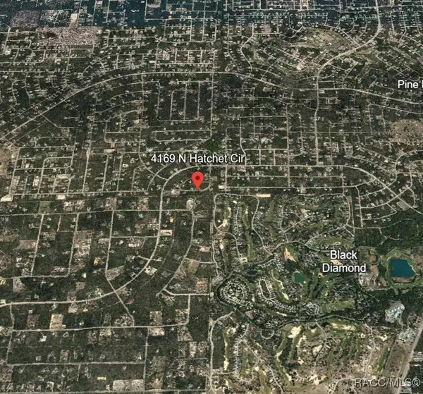 4169 N Hatchet CIR, Beverly Hills, FL 34465